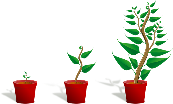 growth mindset growth mindset